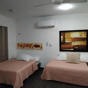 Estudio Zona Centro Cerca De La Terminal Ado Appartement